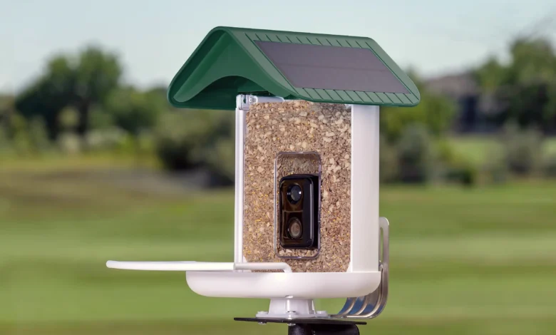 Bird Feeder Camera