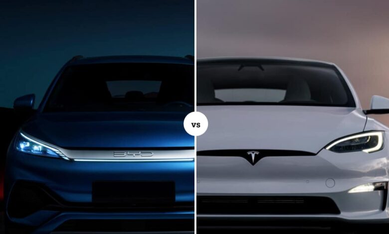 tesla vs byd